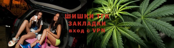 твердый Ельня