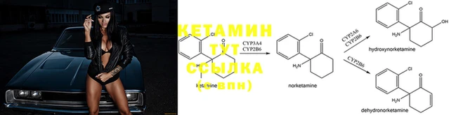 дживик Елизово