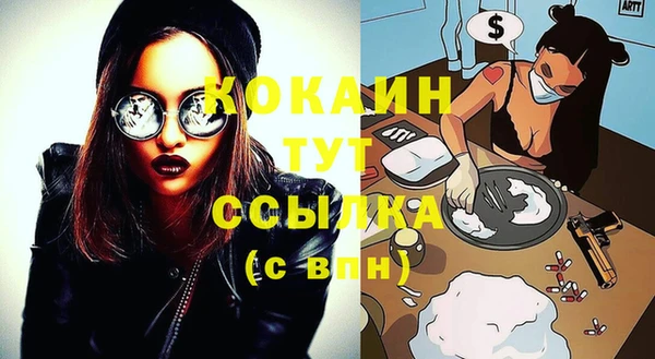 твердый Ельня
