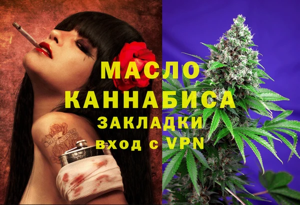 твердый Ельня