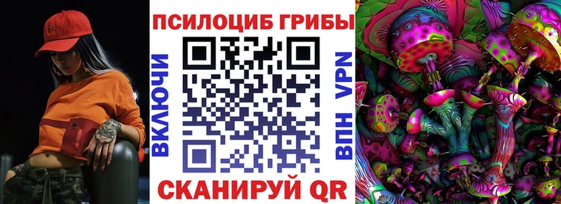 Купить  Очёр  Псилоцибиновые грибы мицелий 